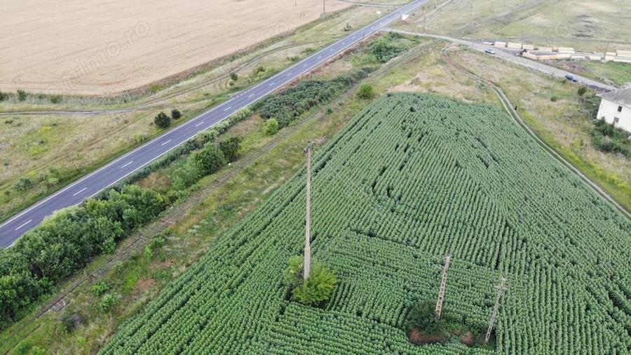 Vand Teren Extravilan Becicherecu Mic(zona industriala) 18.000mp,Utilitati - 7