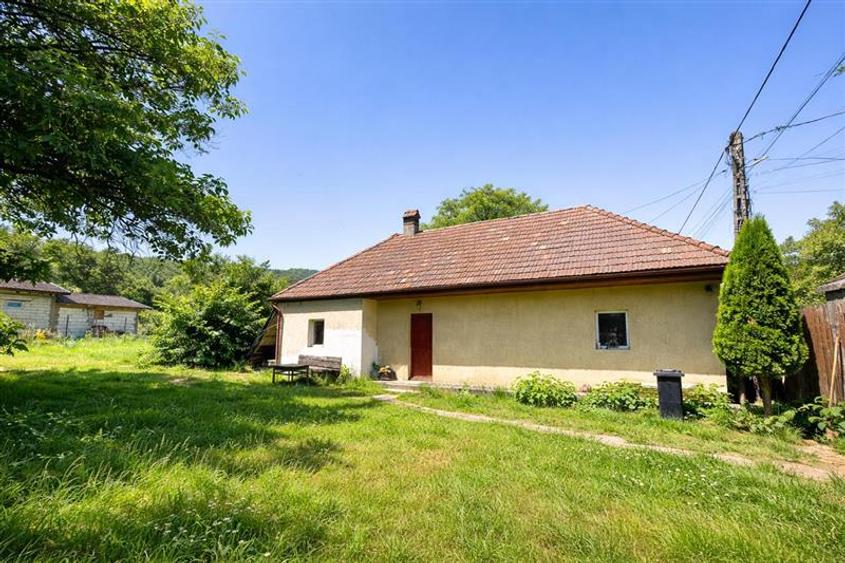 FILM &Tur 3D! Casa cu gradina, pomi fructiferi, fantana, Zagon, Covasna - 1