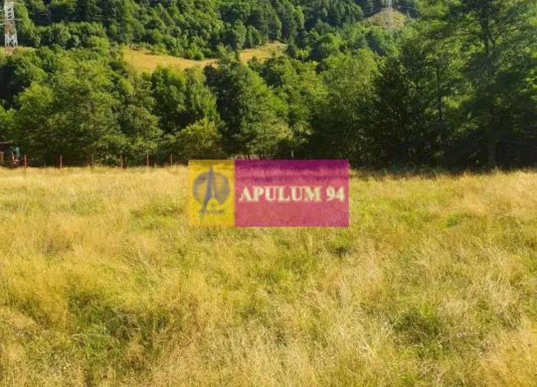 Teren Jude?ul Valcea - Brezoi, Valea lui Stan - 6