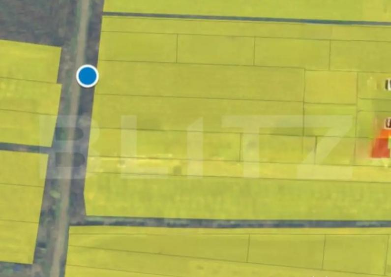 Teren intravilan, 3500 mp. Paulesti - 1