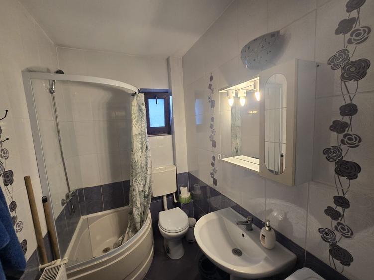 Apartament 1 camera Al.T.Neculai - Biserica Alba Cug,bloc dupa 2000,cod: 161606 - 3