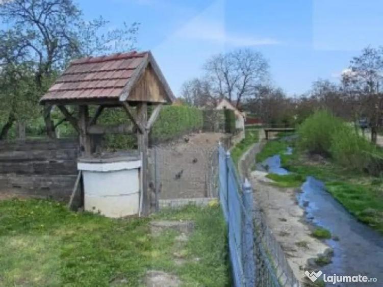 Casa tradi?ionala secuiasca de vanzare Valea Cri?u - 12