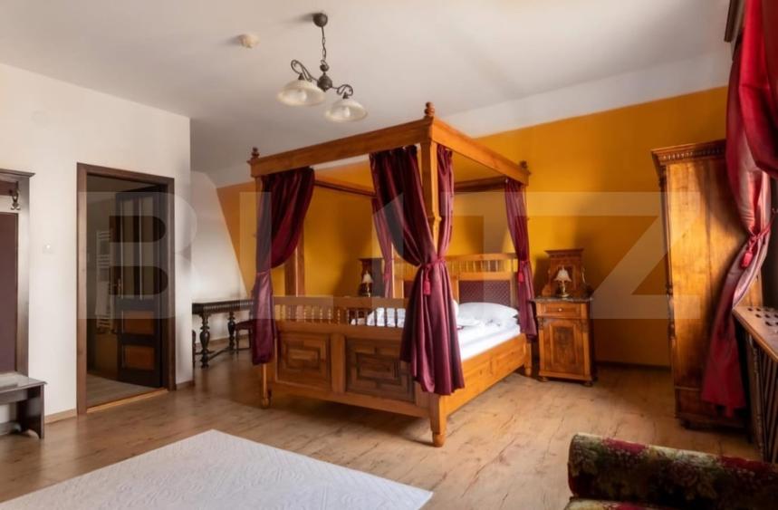 Conac de vanzare 7 camere cu bai proprii, crama, ciubar si potential - 15