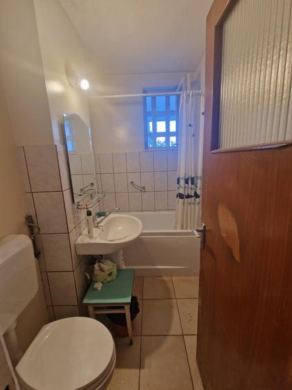 Baba Novac, Parc Ior, Mall Park Lake - 3