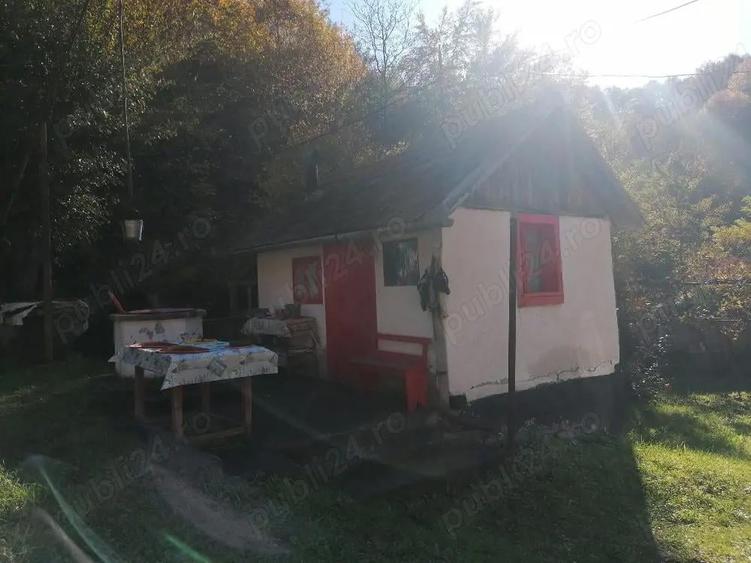 Casa de vanzare + teren si padure - 7