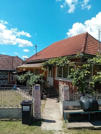 Vand casa la tara - 8