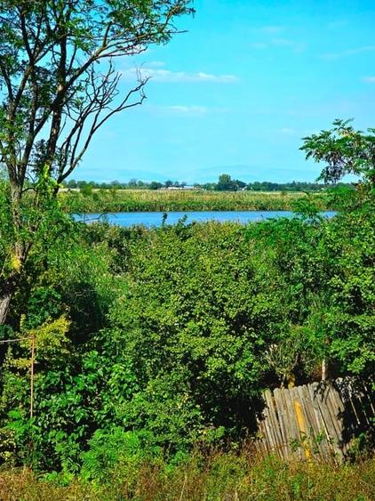 Casa de weekend lângă lac la o ora de Bucuresti - 4