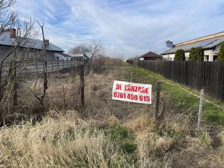 Teren Plesoiu(Arcesti Cot) - 4