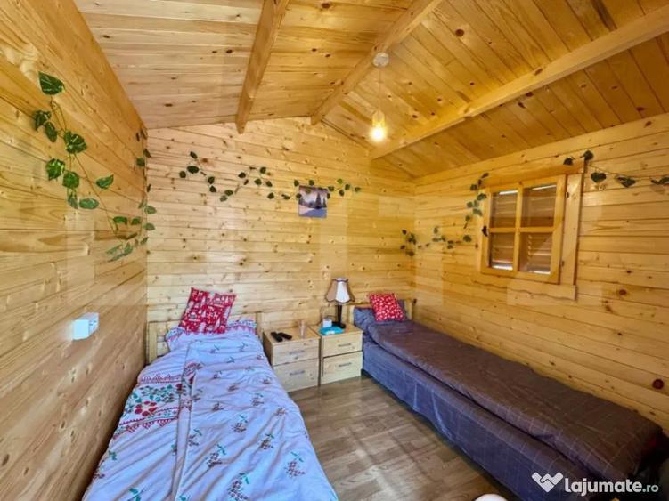 Cabane de vanzare, cu 3 camere, 50 mp, zona Brad - 2