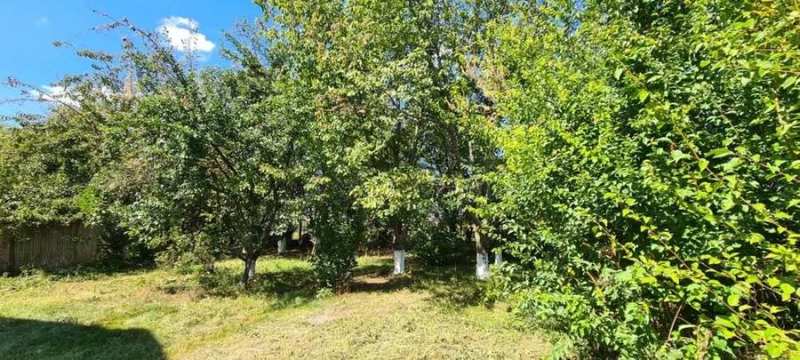 Vila Ialomita -Livedea lac - 11