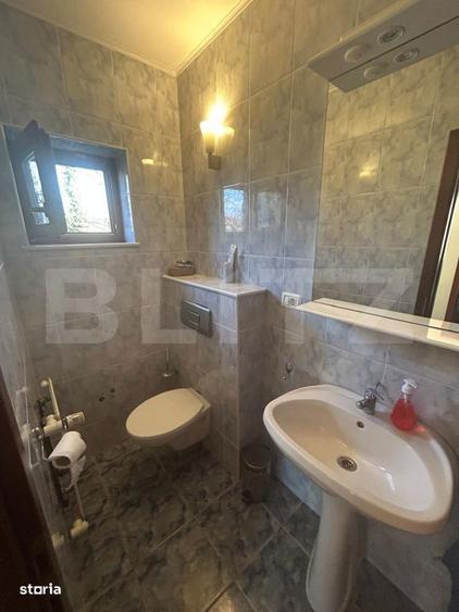 Vila Remetea Mare 380mp utili, 3982 mp teren - 2