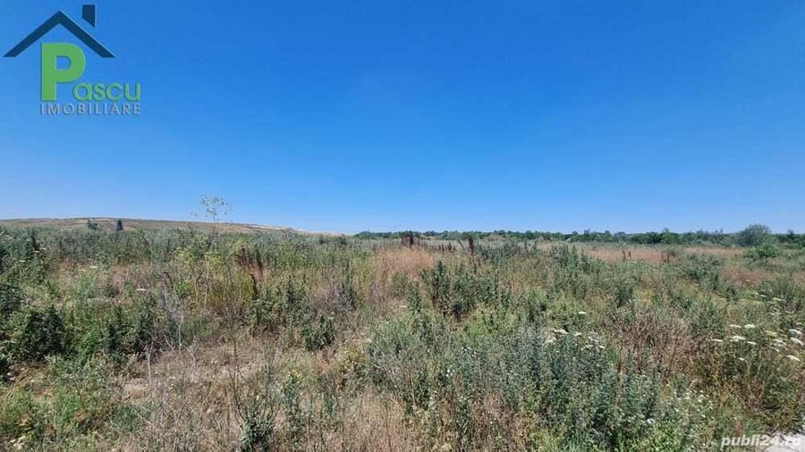 Teren Drum la Chiajna, sector 6, 11.350 mp, D 33 ml - 3