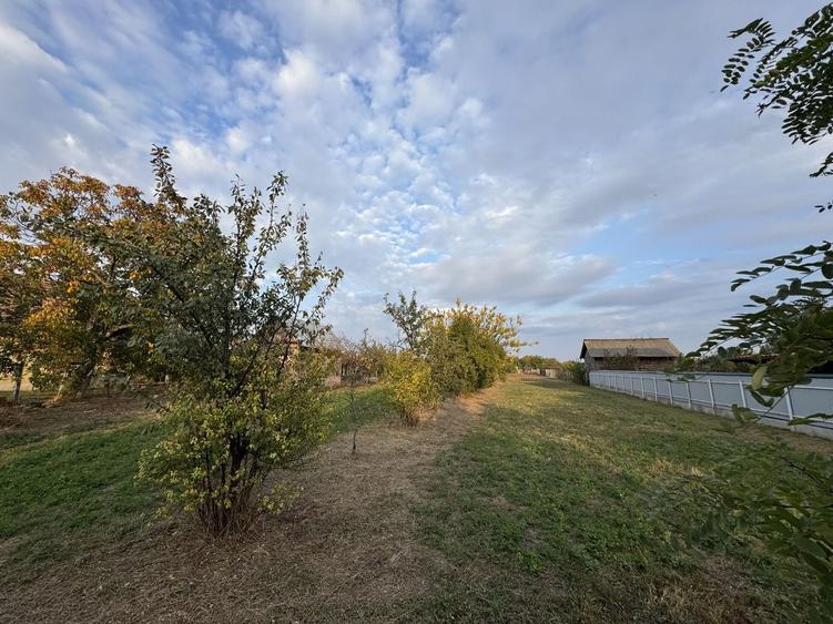 Teren Intravilan Becicherecu Mic In Vatra Satului,1104 mp,Fs. 14m - 3