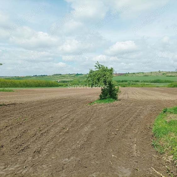 Vind casa cu gradina Vind casa cu gradina