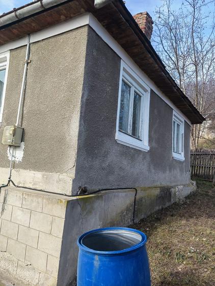 Vanzare casa pitoreasca, teren 2500mp - 2