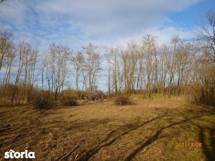 Vand teren in Nagygec (Csengersima) 10 km de Satu Mare - 1