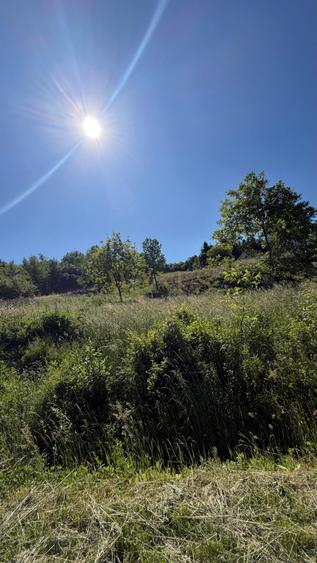 Teren Construcții intravilan de 5300 mp, în Est