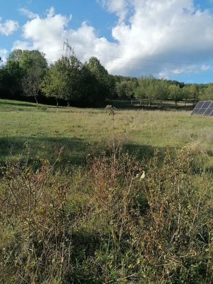 Teren de 6000 mp, în Bobâlna