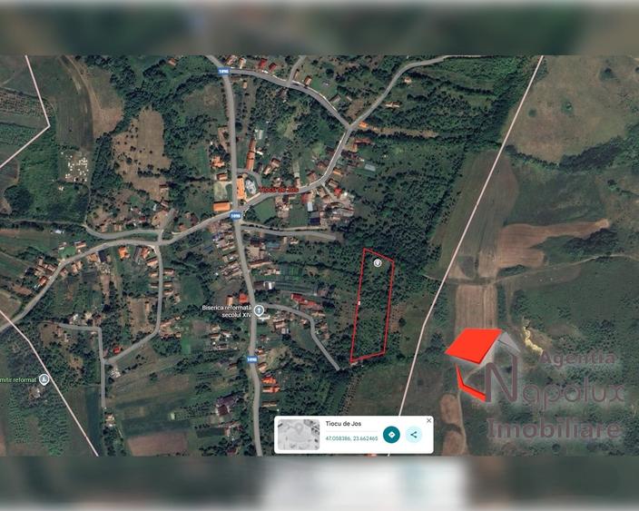 Teren Construcții intravilan de 3000 mp, în Tiocu de Jos