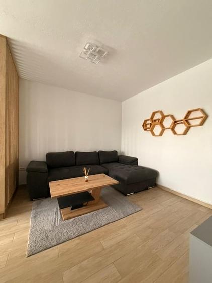 Apartament cu 2 camere decomandat, mobilat în Buziașului