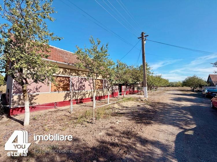 Casă cu 3 camere cu Teren 2880 Mp în Sintea Mare