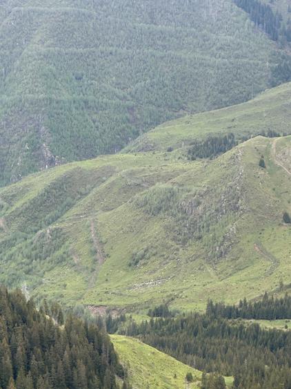 Teren de 1100000 mp, în Nucșoara