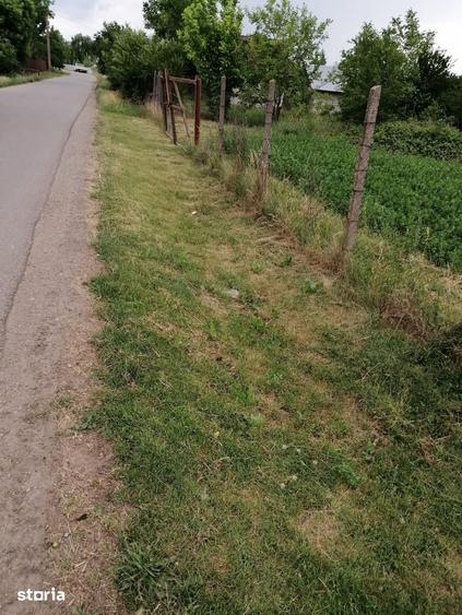 Teren de 1853 mp, în Sălciile