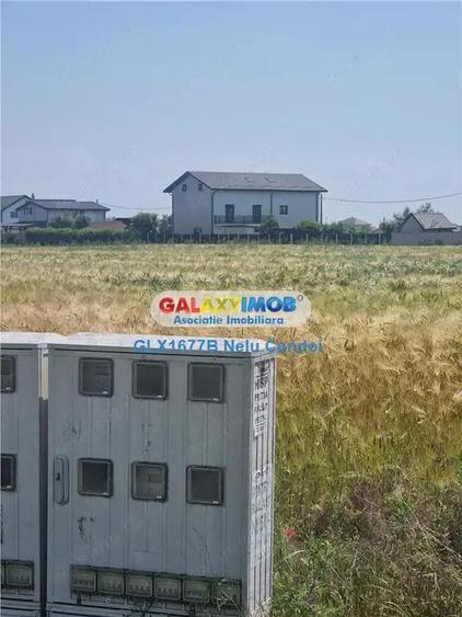 VANZARE TEREN INTRAVILAN 10000 MP COMUNA BERCENI - 2