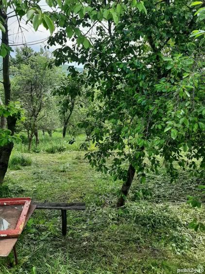 vind casa cu toate utilita?ile - 3