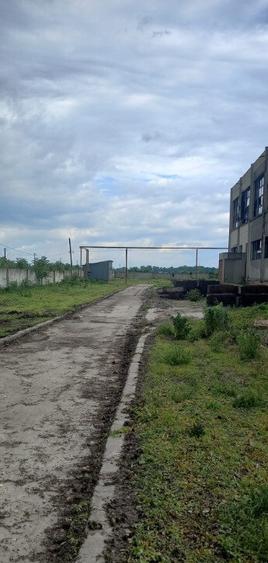 Activ de vanzare la 10 Km de Municipiul Braila ,3 Km de Dunare - 5
