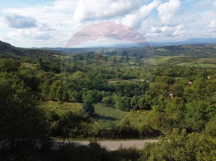 Teren intravilan de vanzare in Magureni - 4