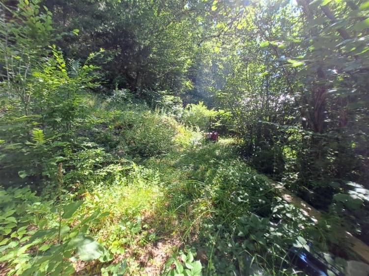 RECO Teren intravilan  Boga - 1