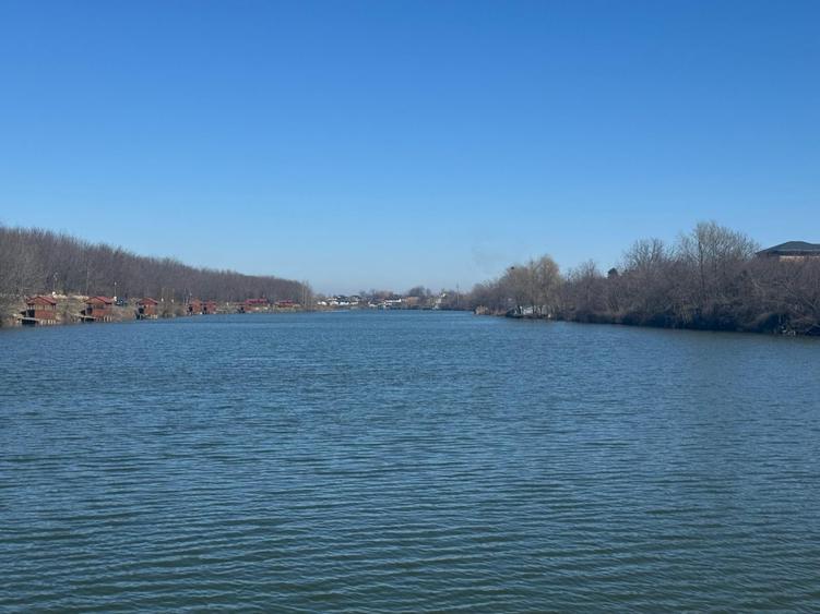 Vanzare Teren 1800mp Ganeasa Piteasca - 10