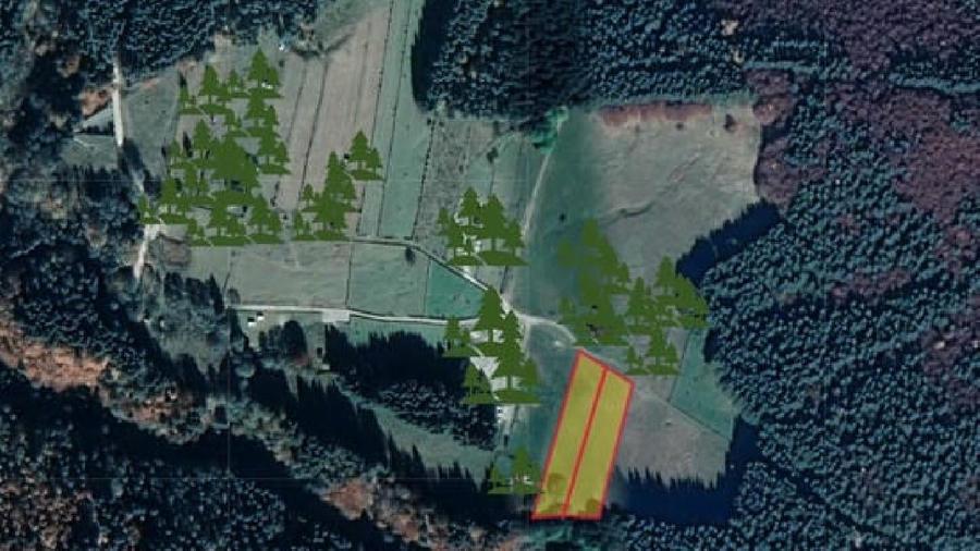 Teren intravilan - 5000 mp, Valea Doftanei - 1