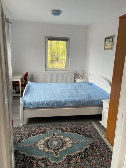 Casa 216mp cu vie si livada, 2500 mp teren – Horodistea, comuna Cotnari, Iasi - 13