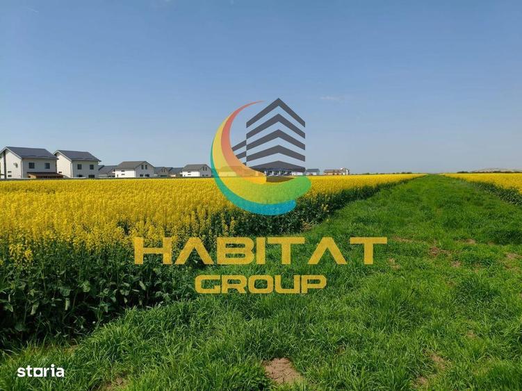 Teren intravilan 1020 mp Gaze, curent Berceni - Vidra - 2