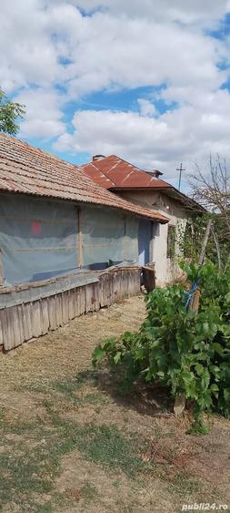 Casa la ?ara jud. Giurgiu, 4 camere, curte 4000 mp - 10