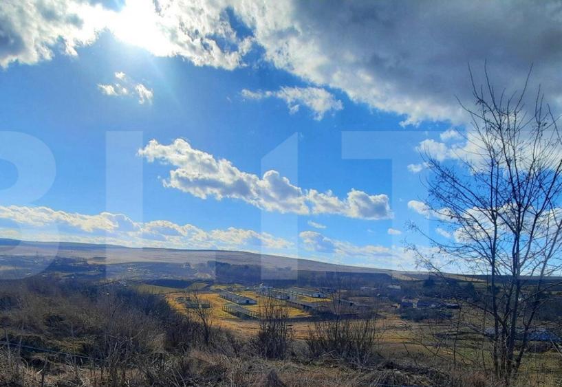 Ferma in intravilanul comunei Cojocna, 5 Ha cu hale - 6