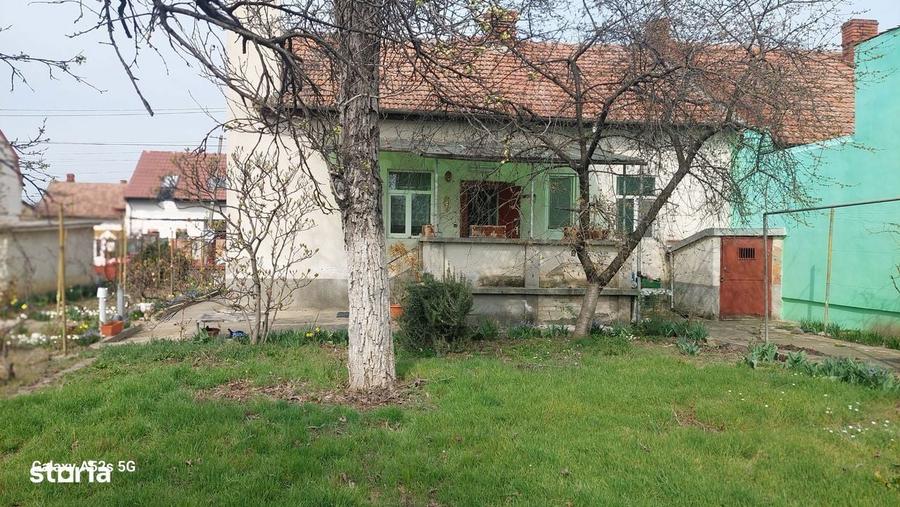 Casa cu pivnita si garaj, in Zona Elisabetin , str Eneas, Timisoara - 7