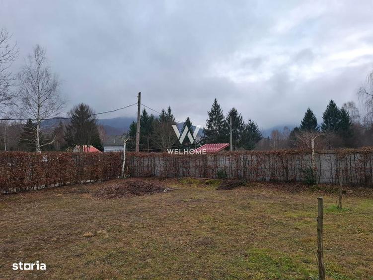 Teren deosebit pozitionat, cu livada, langa padure, pe Valea Avrigulu - 7