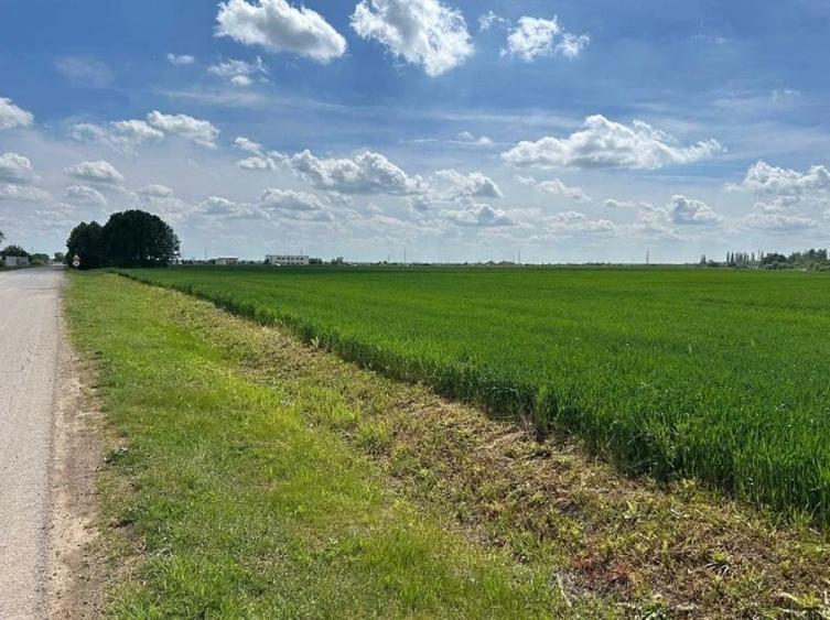 Moara Vlasiei - zona industriala, 17.000 mp - 1