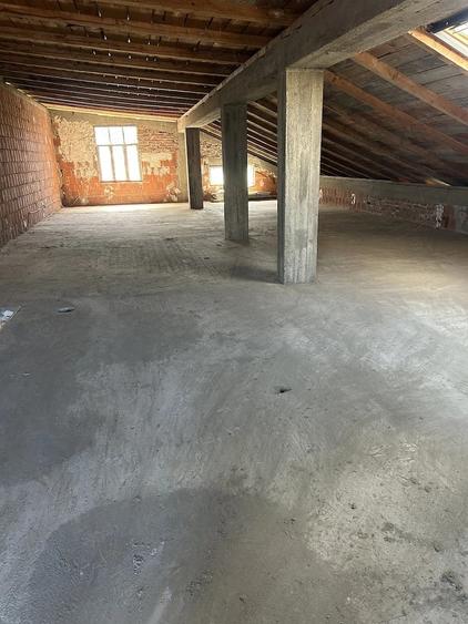 Domeniu 12.000 mp + casa | 37 km Bucure?ti | ideal investi?ie parcelare - 2