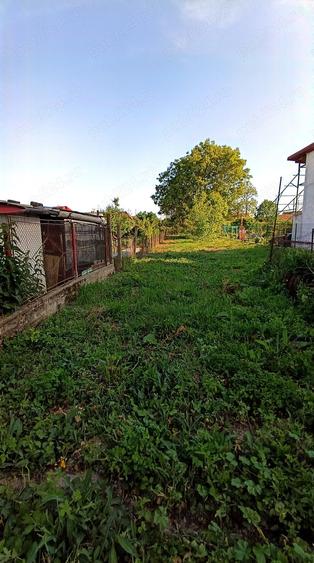 Vand casa cu gradina - 2