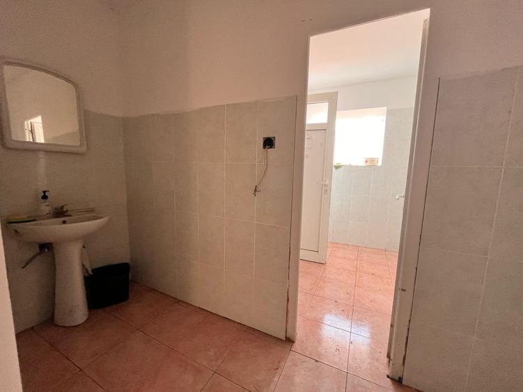 HALA IN ZONA DUMBRAVITA -KAUFLAND LA 6 euro/mp - 3