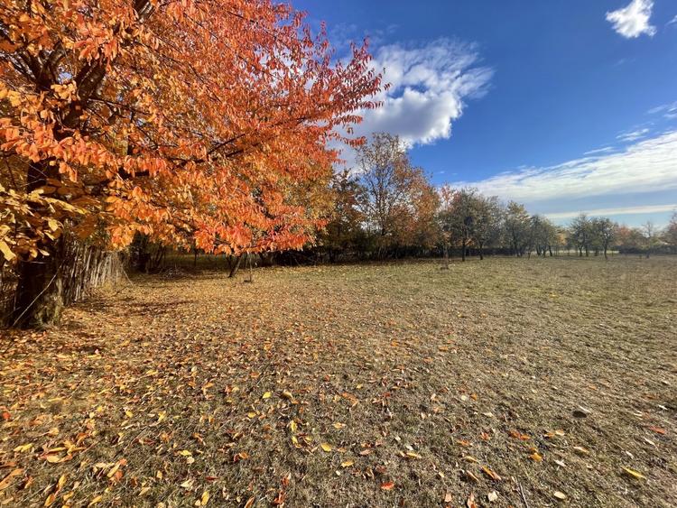 Teren Premium 1559 mp, Brebu Manastirei – Refugiu Montan la 120 km de Bucuresti, - 5