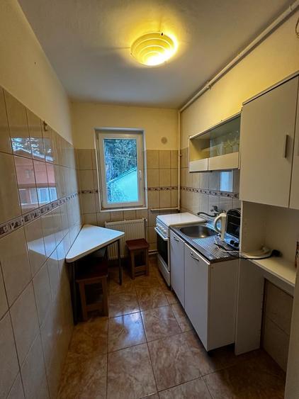 Apartament 2 camere cu priveliste asupra muntilor - 6