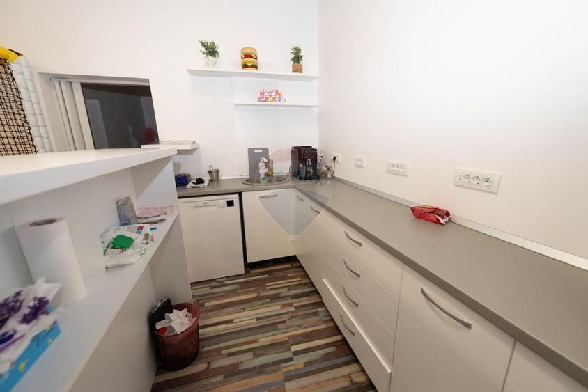 Vila cu curte de inchiriat- sector 1 - 17