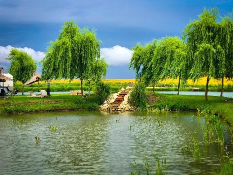 Proprietate exclusivista ideala ca proiect pentru investitie!! - 4