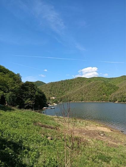 Vand pamant lac Cincis - 1