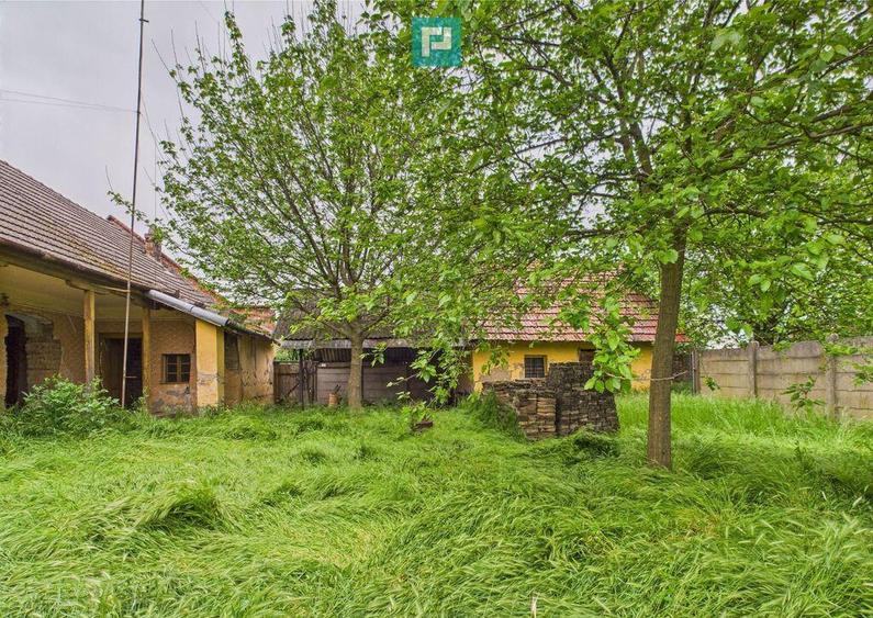 Casa de reabilitat pe teren generos- Comuna Varia? - 9